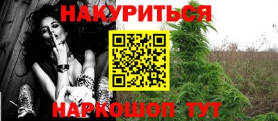 прущие грибы Малгобек