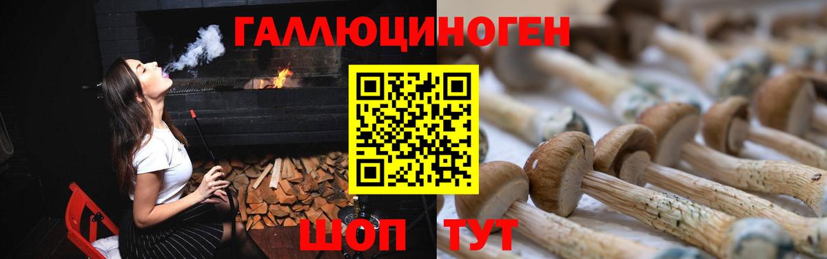 Галлюциногенные грибы Cubensis  Вход с VPN  Уварово 